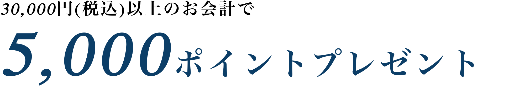 5,000ポイントプレゼント